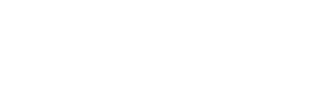 logo wingdocs